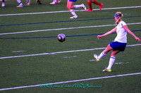 April 5, 2013-GIRLS' SOCCER-Taylor girls dominate in area playoffs