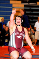 2008 UIL Wrestling State Championships