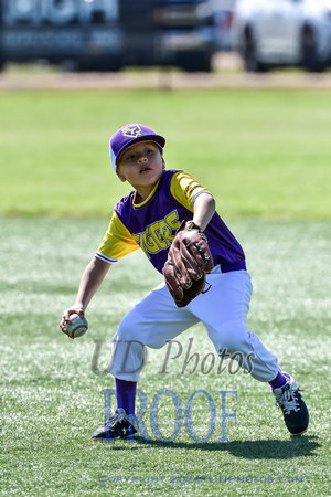 TIGERS Baseball323-1026