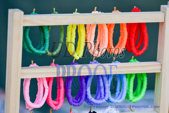 SpringFest25-39